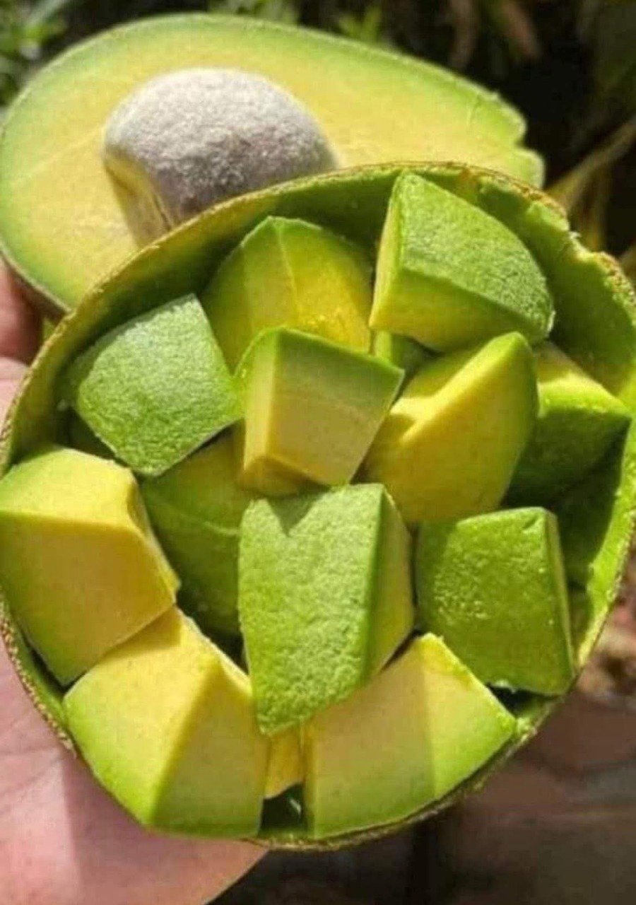 Doctors reveal that avocado consumption causes... see more 25 490a7377 fb81 46d8 ad97 bd3c4cddf847 1