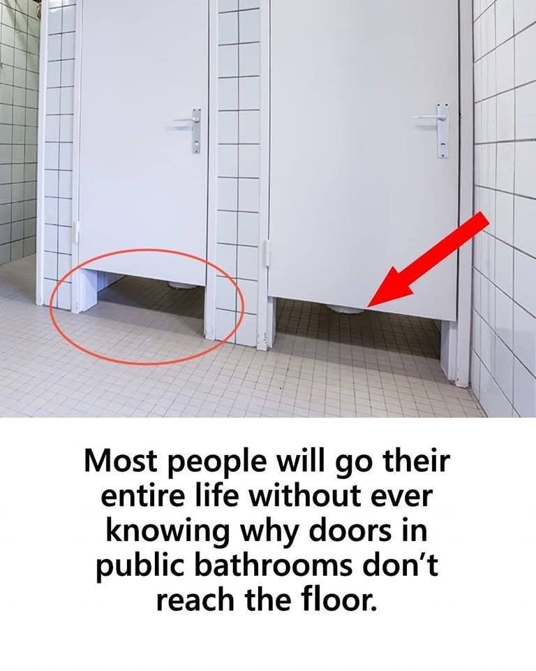 Why Doors in Public Bathrooms Don’t Reach the Floor 25 547448478 724846520600392 310937829700189803 n
