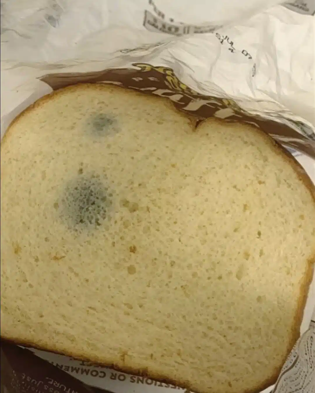 peut on manger du pain moisi.jpg