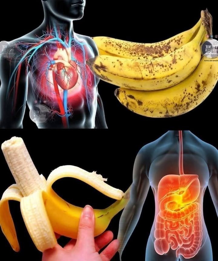 Did you know that eating bananas… Show more 25 IMG 20260122 WA0045