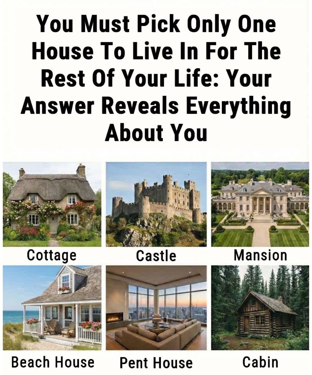 You Must Pick Only One House to Live in for the Rest of Your Life: What Your Choice Reveals About You 25 anh post 2026 01 16T234914.110