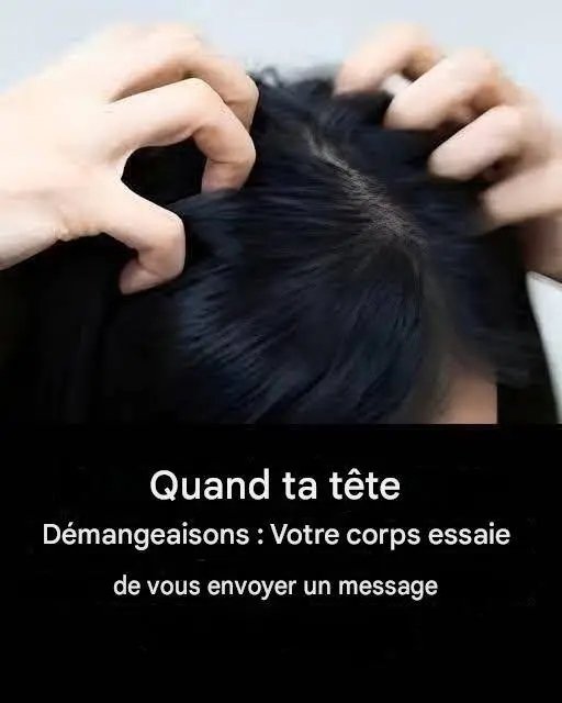 1781880626414