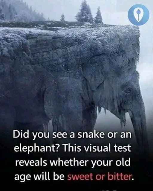 Snake or Elephant? Your Answer Might Surprise You. Details in 25 1782143443394