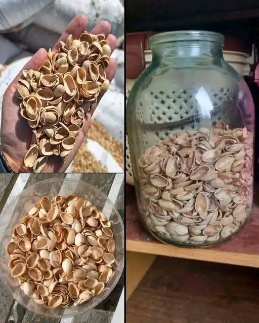 La plupart des gens jettent des coquilles de pistaches sans savoir à quel point elles sont précieuses... 25 1782228471026