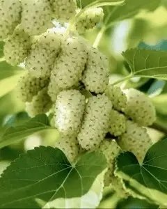 1781167070255