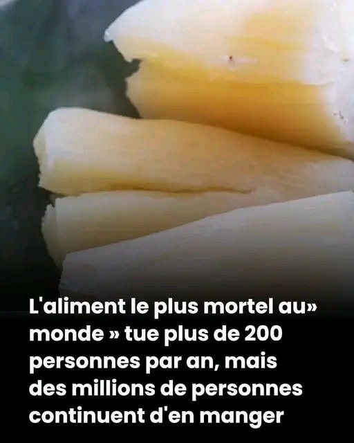 Présent dans la quasi-totalité de nos cuisines, ce produit que nous consommons presque tous les jours cache une réalité bien plus sombre. Son impact sur notre organisme est tel que les professionnels de santé tirent aujourd'hui un signal d'alarme majeur. 25 1783002954607