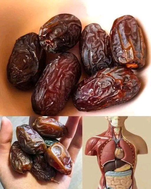 Le FRUIT LE PLUS SAIN sur Terre: qu'arrive-t-il à votre corps si vous n'en mangez que 3 par jour... 25 1783004795843